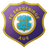 FC Erzgebirge Aue logo
